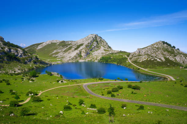 lago picos de europa enol nelle asturie spagna - cantabria picos de europe mountains panoramic asturias foto e immagini stock