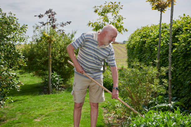 istock Having gardening as hobby after retirement 1153654382