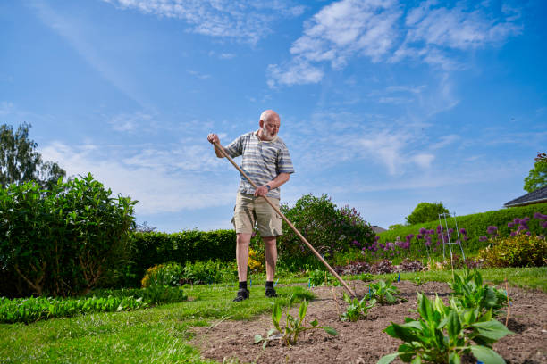 istock Having gardening as hobby after retirement 1153654451