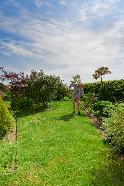 istock Having gardening as hobby after retirement 1153654484