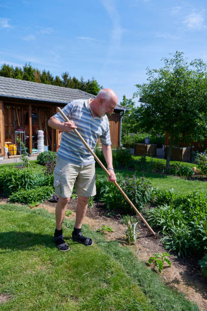 istock Having gardening as hobby after retirement 1153654737