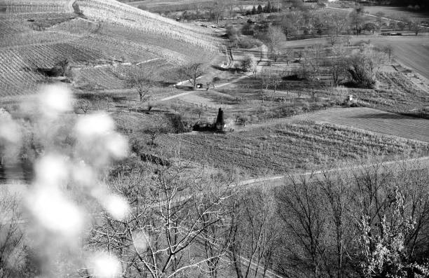 istock South German countryside with vineyards and fields in black and white 1153654954
