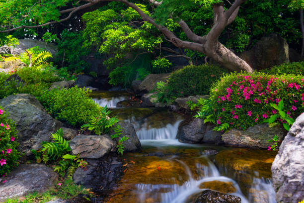 schöner japanischer garten mit kleinem wasserfall und blühenden rhododendron-blüten. - spring waterfall japan landscape stock-fotos und bilder