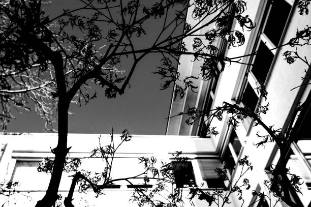 Monochrome, wide-angle lens,