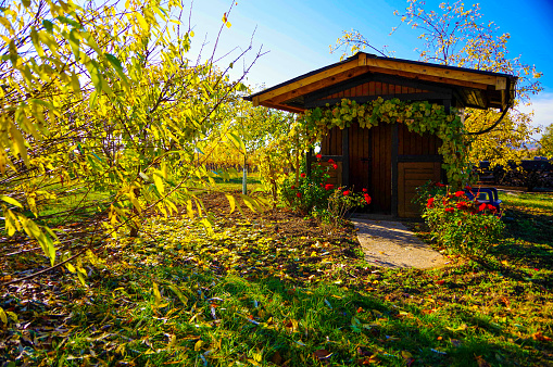 Senior man is resting by the garden of the village house.Guria,Georgia