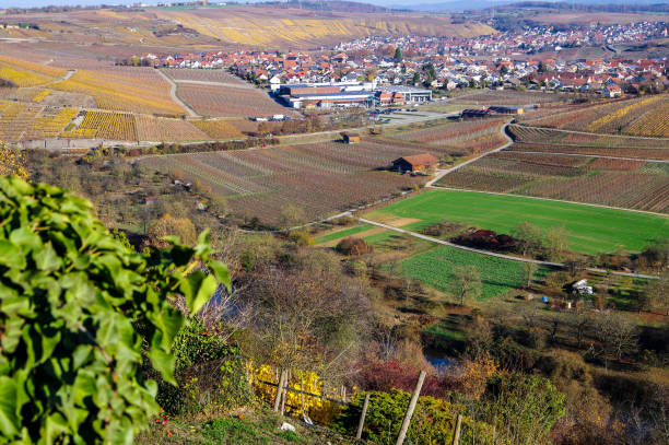 istock South German countryside with fields, meadows and vineyards 1153658442