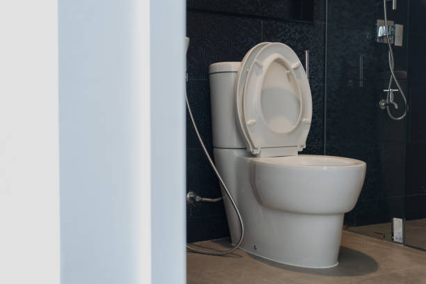 flush toilet made of ceramic Close up the flush toilet made of ceramic in the beautiful design bathroom. flushing valve public restroom toilet stock pictures, royalty-free photos & images