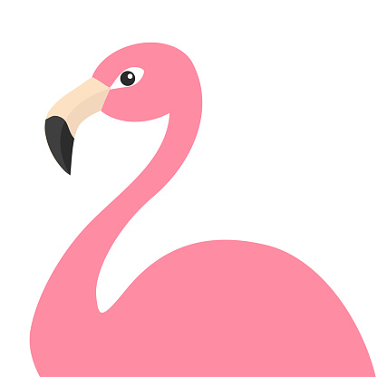 Pink flamingo body. Exotic tropical bird. Zoo animal collection. Cute cartoon character. Decoration element. Flat design. White background. Isolated. Vector illustration