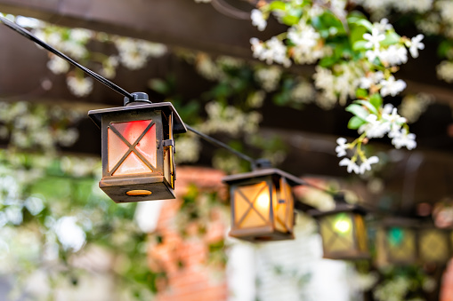 Patio outdoor spring garden in backyard of home with closeup of red lantern lamps lights hanging from pergola wooden gazebo and plants white flowers