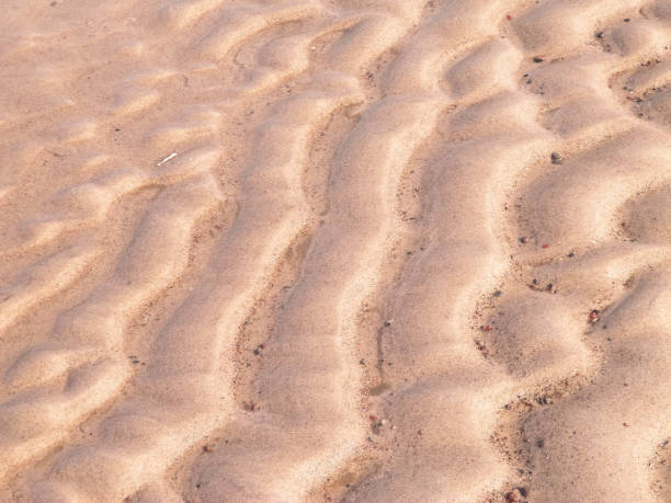 istock Sea shore as nature background. 1153665998