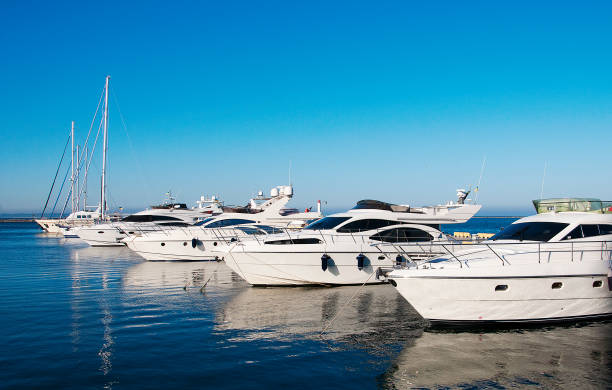 istock White yachts in port. 1153666164