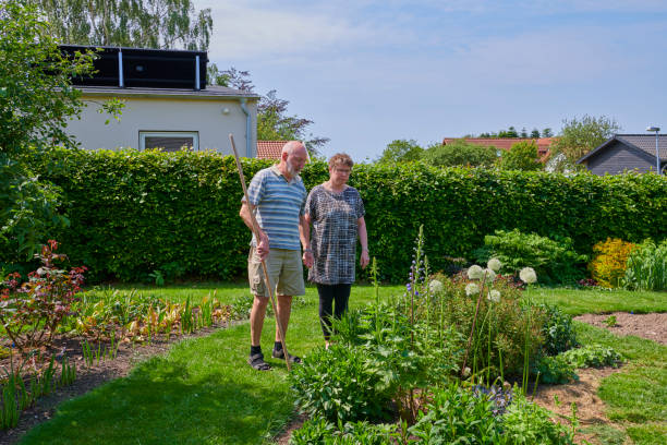 istock Retired couple discuss the gardening plans 1153667252