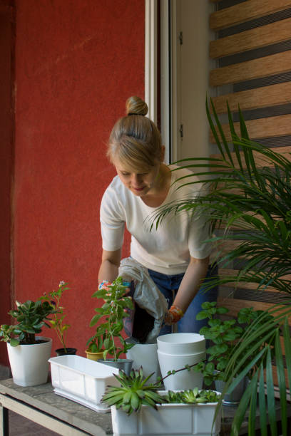 istock Making A Beautiful Garden On Her Terrace 1153667253