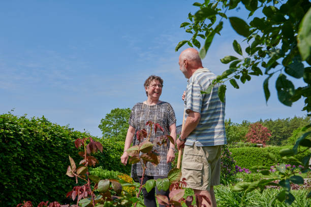 istock Retired couple discuss the gardening plans 1153667276