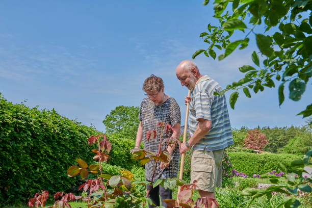 istock Retired couple discuss the gardening plans 1153667383
