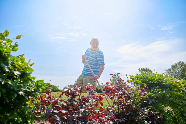 istock Having gardening as hobby after retirement 1153667747