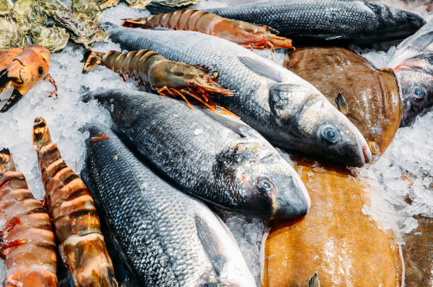 la vida aún en ángulo alto de la variedad de pescado fresco crudo escalofriante en la cama de hielo frío en el mercado de mariscos stall - catch of fish seafood freshness fish fotografías e imágenes de stock