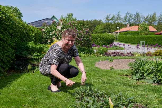 istock Retired woman gardening 1153667919