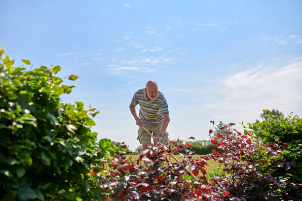 Having gardening as hobby after retirement