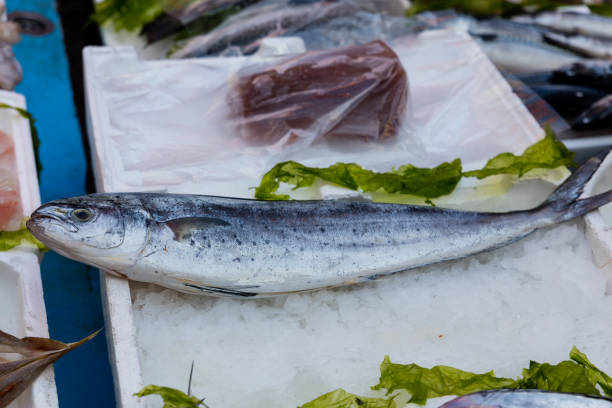 lampuga-fische auf dem markt - coryphaena stock-fotos und bilder