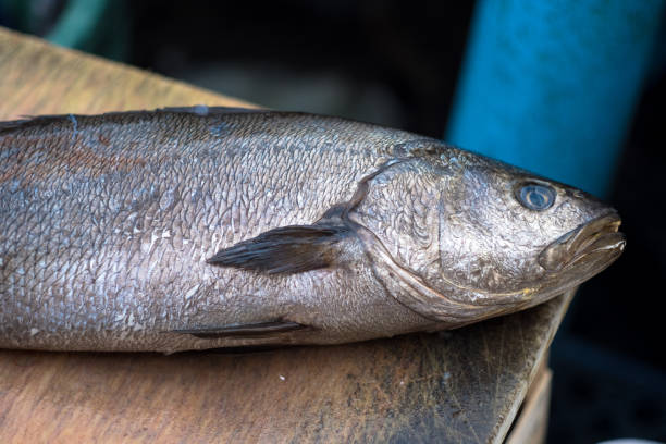 mercado de pescado abierto - coryphaena fotografías e imágenes de stock