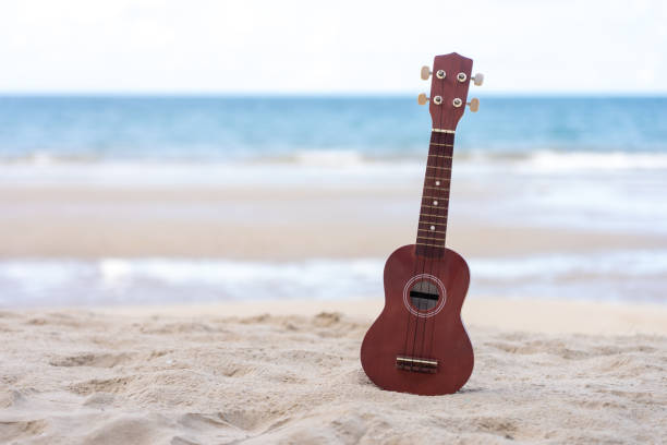 istock guitar ukulele put on the sand beach. Sea view during daytime with blue sky background. Summer season concept. 1153672512