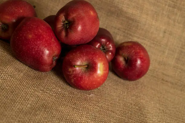 several red apples of a sackcloth