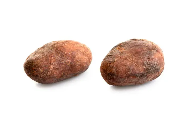 Two roasted unpeeled cocoa beans isolated on white.