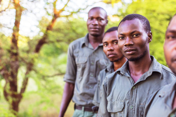 Group of African Forest Rangers Facing the Camera for a Portrait Africa, Officers, Uniform - African Forest Rangers Standing in a row and Looking at the Camera for a selective focus portrait park ranger stock pictures, royalty-free photos & images