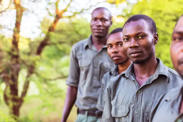 Africa, Officers, Uniform - African Forest Rangers Standing in a row and Looking at the Camera for a selective focus portrait