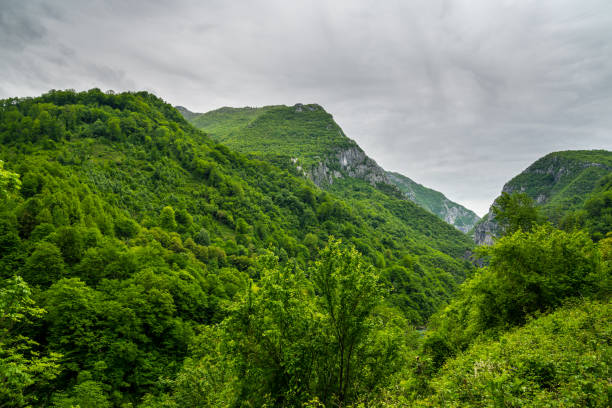 istock Montenegro, Majestic moraca canyon formed by wild moraca river covered by endless green forest in untouched nature landscape 1153675726