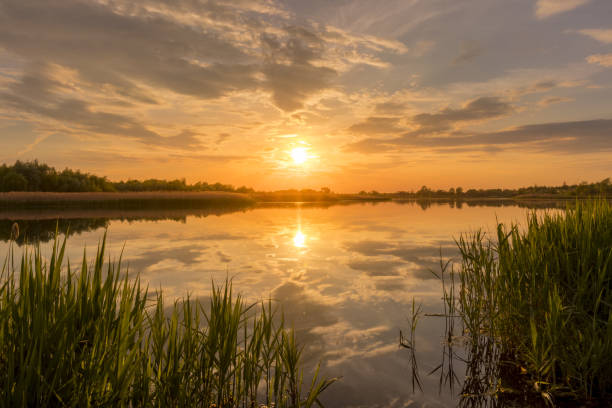 istock Sunset above the pond or lake with cloudy sky at summer and water reflection. 1153679121