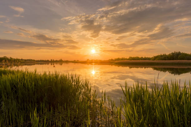 istock Sunset above the pond or lake with cloudy sky at summer and water reflection. 1153679122