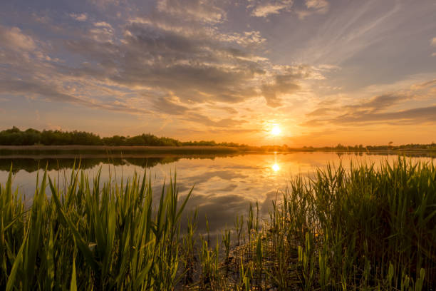 istock Sunset above the pond or lake with cloudy sky at summer and water reflection. 1153679128