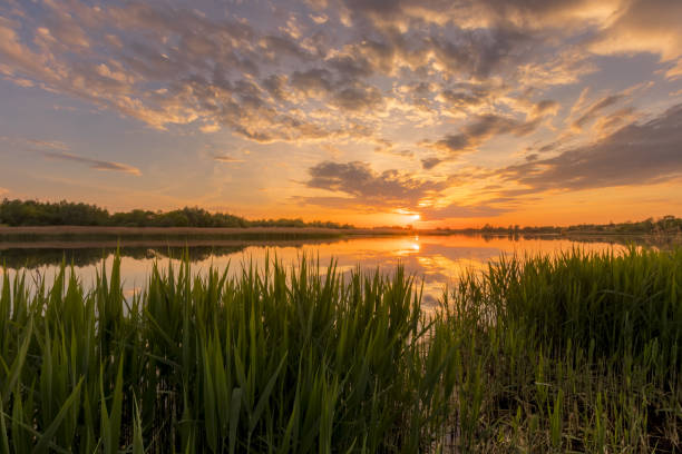 istock Sunset above the pond or lake with cloudy sky at summer and water reflection. 1153679129