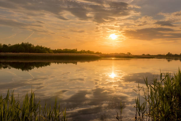 istock Sunset above the pond or lake with cloudy sky at summer and water reflection. 1153679131