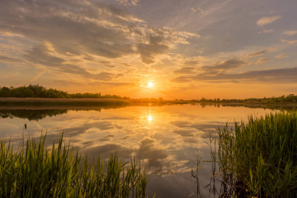 istock Sunset above the pond or lake with cloudy sky at summer and water reflection. 1153679145