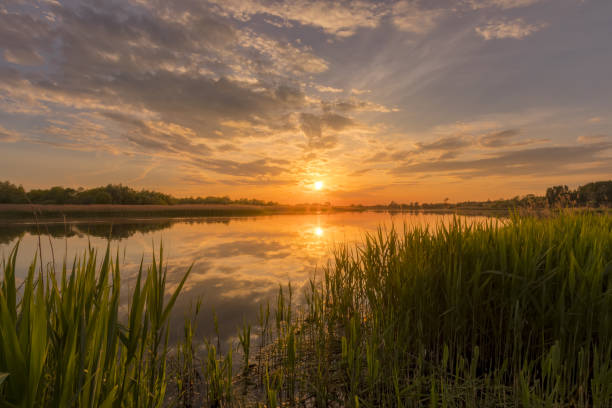 istock Sunset above the pond or lake with cloudy sky at summer and water reflection. 1153679148