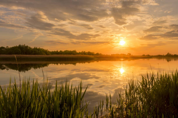 istock Sunset above the pond or lake with cloudy sky at summer and water reflection. 1153679152