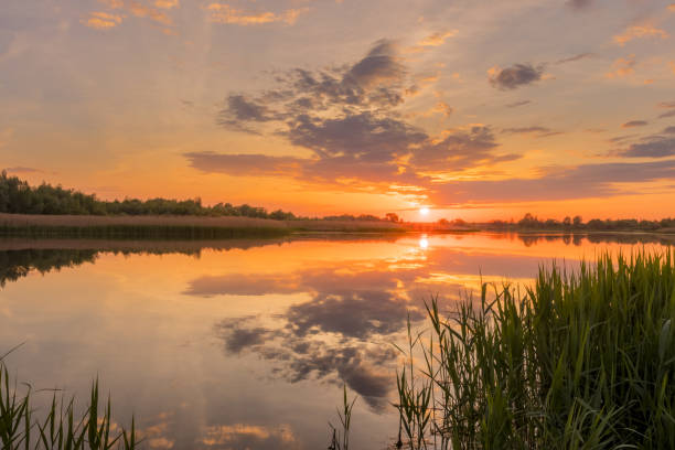 istock Sunset above the pond or lake with cloudy sky at summer and water reflection. 1153679162