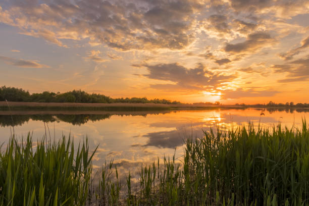 istock Sunset above the pond or lake with cloudy sky at summer and water reflection. 1153679165