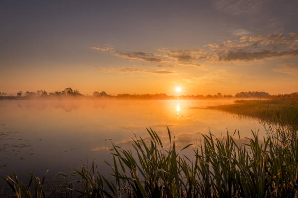 istock Sunrise above the pond with cloudy sky at summer. 1153679228
