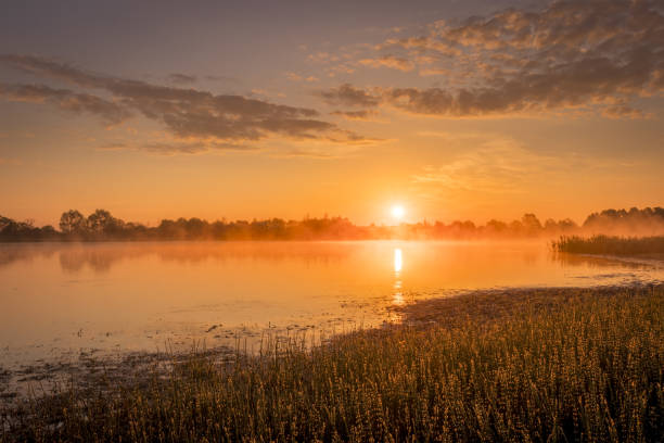 istock Sunrise above the pond with cloudy sky at summer. Dew on the grass. 1153679241