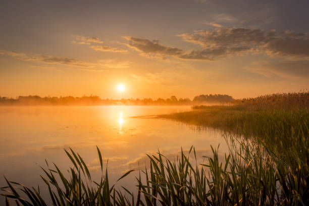 istock Sunrise above the pond with cloudy sky at summer. 1153679249