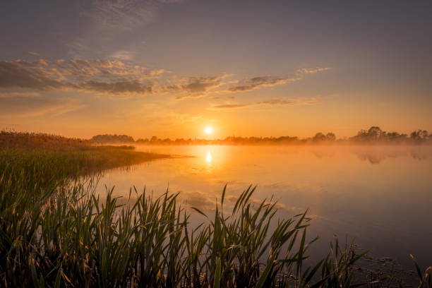 istock Sunrise above the pond with cloudy sky at summer. 1153679256