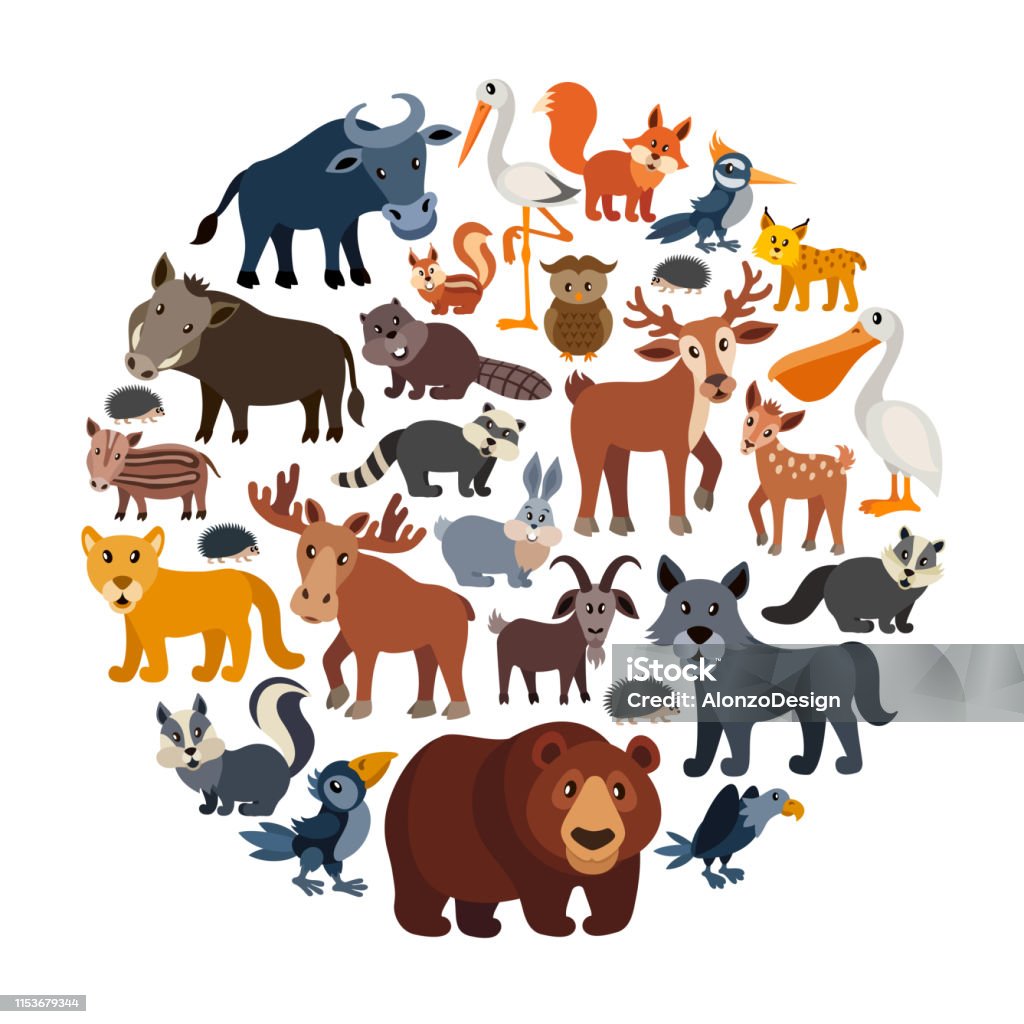 Ilustración de Dibujos Animados Animales Collage y más Vectores Libres de  Derechos de Animal - Animal, Zoológico, Infografía - iStock