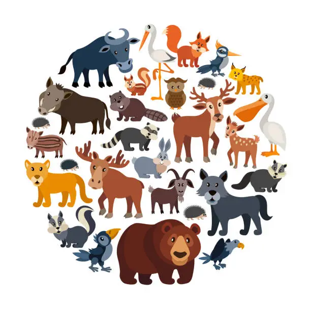 Vector illustration of Cartoon Animals Collage