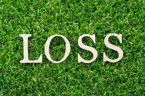 istock Wood letter in word loss on artificial green grass background 1153679754