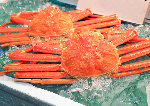 Red King Crab (Taraba crab) or Alaska King Crab on ice for selling at seafood market in Kanazawa. Japan