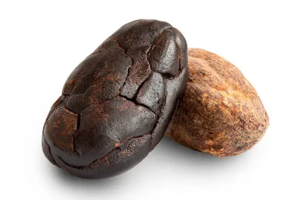 One roasted peeled and one unpeeled cocoa bean isolated on white.
